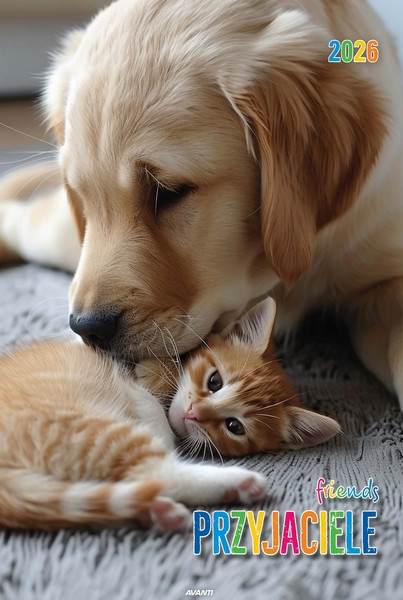 Kalendarz wieloplanszowy mały KSM-7 Avanti Przyjaciele